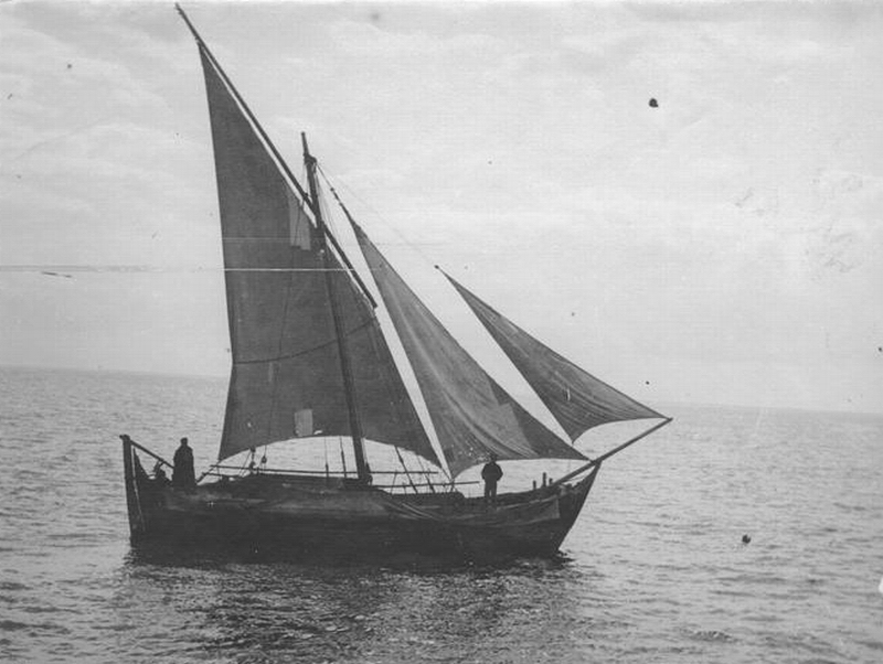 Image-3