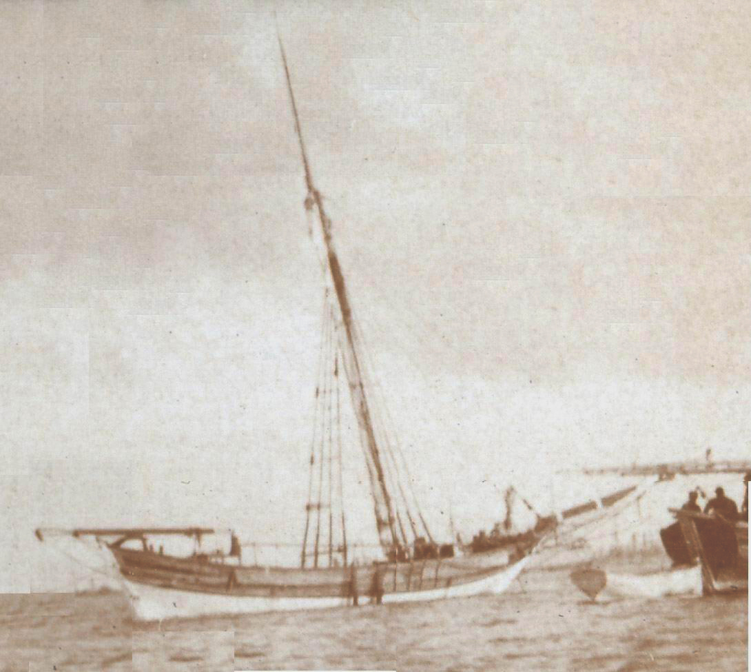 Myt-3
